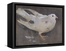 The Pigeon-Joseph Crawhall-Framed Stretched Canvas