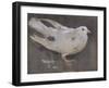 The Pigeon-Joseph Crawhall-Framed Giclee Print