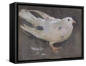 The Pigeon-Joseph Crawhall-Framed Stretched Canvas