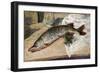 The Pike, 1888-Alfred Sisley-Framed Giclee Print