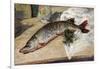 The Pike, 1888-Alfred Sisley-Framed Giclee Print