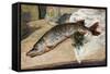 The Pike, 1888-Alfred Sisley-Framed Stretched Canvas