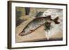 The Pike, 1888-Alfred Sisley-Framed Giclee Print