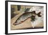 The Pike, 1888-Alfred Sisley-Framed Giclee Print