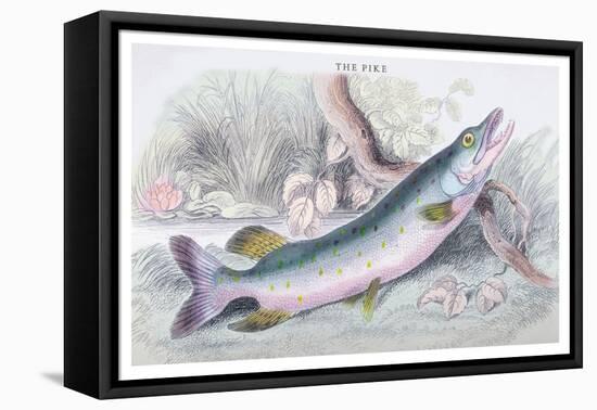 The Pike-Robert Hamilton-Framed Stretched Canvas