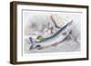 The Pike-Robert Hamilton-Framed Art Print