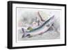 The Pike-Robert Hamilton-Framed Art Print