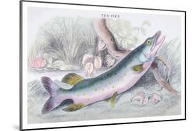 The Pike-Robert Hamilton-Mounted Art Print