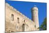 The Pikk Hermann Tower, Part of the Toompea Castle, UNESCO World Heritage Site-Nico Tondini-Mounted Photographic Print