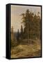 The Pine Forest, 1895-Ivan Ivanovich Shishkin-Framed Stretched Canvas