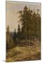 The Pine Forest, 1895-Ivan Ivanovich Shishkin-Mounted Giclee Print