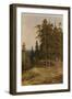 The Pine Forest, 1895-Ivan Ivanovich Shishkin-Framed Giclee Print