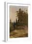 The Pine Forest, 1895-Ivan Ivanovich Shishkin-Framed Giclee Print