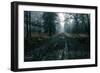 The Pine Trail-David Baker-Framed Photographic Print