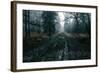 The Pine Trail-David Baker-Framed Photographic Print