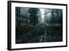 The Pine Trail-David Baker-Framed Photographic Print