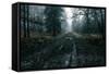 The Pine Trail-David Baker-Framed Stretched Canvas