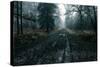 The Pine Trail-David Baker-Stretched Canvas