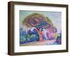 The Pine Tree at St. Tropez, 1909-Paul Signac-Framed Premium Giclee Print