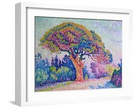 The Pine Tree at St. Tropez, 1909-Paul Signac-Framed Giclee Print