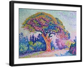 The Pine Tree at St. Tropez, 1909-Paul Signac-Framed Giclee Print