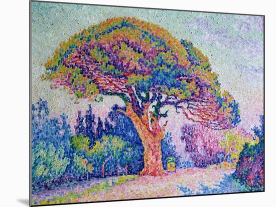 The Pine Tree at St. Tropez, 1909-Paul Signac-Mounted Giclee Print