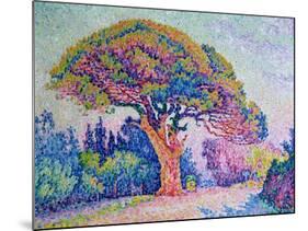 The Pine Tree at St. Tropez, 1909-Paul Signac-Mounted Giclee Print