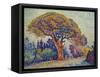 The Pine Tree at St, Tropez, 1909-Paul Signac-Framed Stretched Canvas