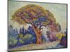 The Pine Tree at St, Tropez, 1909-Paul Signac-Mounted Giclee Print