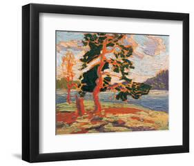 The Pine Tree-Tom Thomson-Framed Premium Giclee Print