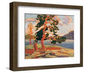 The Pine Tree-Tom Thomson-Framed Premium Giclee Print