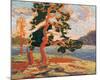 The Pine Tree-Tom Thomson-Mounted Premium Giclee Print