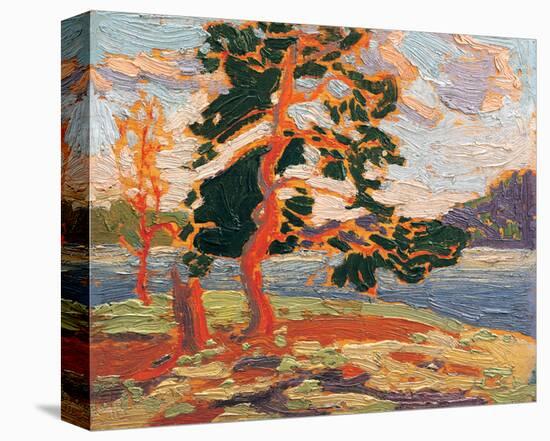 The Pine Tree-Tom Thomson-Stretched Canvas