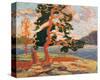 The Pine Tree-Tom Thomson-Stretched Canvas