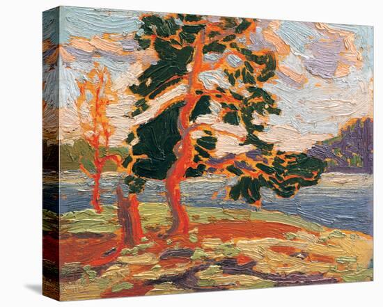 The Pine Tree-Tom Thomson-Stretched Canvas