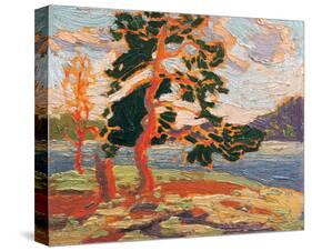 The Pine Tree-Tom Thomson-Stretched Canvas