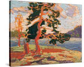 The Pine Tree-Tom Thomson-Stretched Canvas