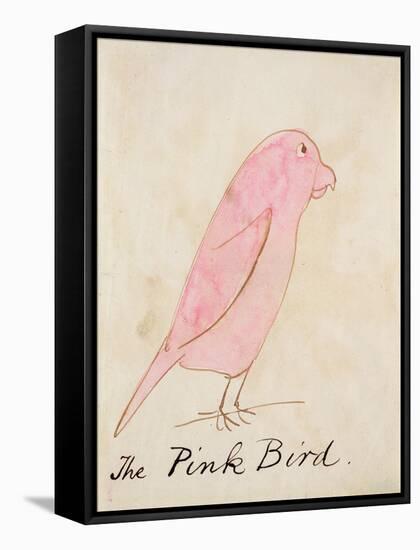 The Pink Bird, from 'sixteen Drawings of Comic Birds'-Edward Lear-Framed Stretched Canvas
