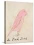 The Pink Bird, from 'sixteen Drawings of Comic Birds'-Edward Lear-Stretched Canvas