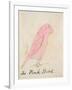 The Pink Bird, from 'sixteen Drawings of Comic Birds'-Edward Lear-Framed Giclee Print