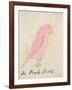 The Pink Bird, from 'sixteen Drawings of Comic Birds'-Edward Lear-Framed Giclee Print