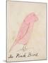 The Pink Bird, from 'sixteen Drawings of Comic Birds'-Edward Lear-Mounted Giclee Print