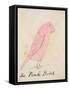 The Pink Bird, from 'sixteen Drawings of Comic Birds'-Edward Lear-Framed Stretched Canvas