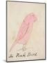 The Pink Bird, from 'sixteen Drawings of Comic Birds'-Edward Lear-Mounted Giclee Print
