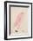 The Pink Bird, from 'sixteen Drawings of Comic Birds'-Edward Lear-Framed Giclee Print