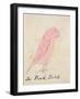 The Pink Bird, from 'sixteen Drawings of Comic Birds'-Edward Lear-Framed Giclee Print