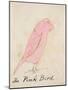 The Pink Bird, from 'sixteen Drawings of Comic Birds'-Edward Lear-Mounted Giclee Print