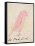 The Pink Bird, from 'sixteen Drawings of Comic Birds'-Edward Lear-Framed Stretched Canvas