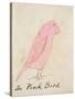 The Pink Bird, from 'sixteen Drawings of Comic Birds'-Edward Lear-Stretched Canvas