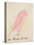 The Pink Bird, from 'sixteen Drawings of Comic Birds'-Edward Lear-Stretched Canvas